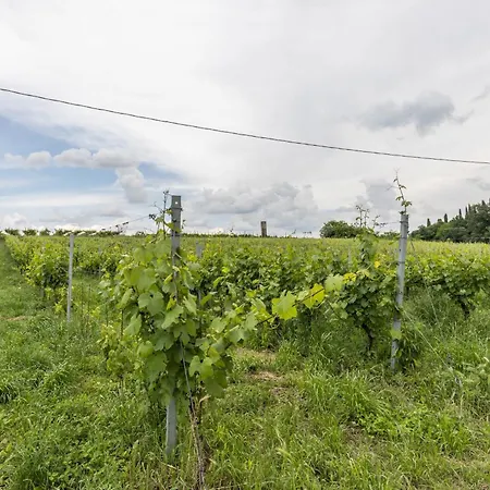 Country Agritur Tenuta Corte Tese 2 Sona
